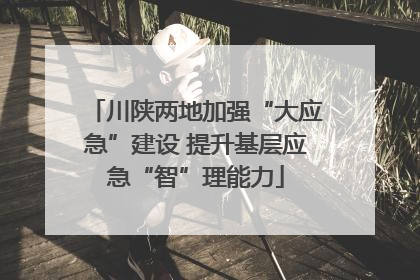 川陕两地加强“大应急”建设 提升基层应急“智”理能力