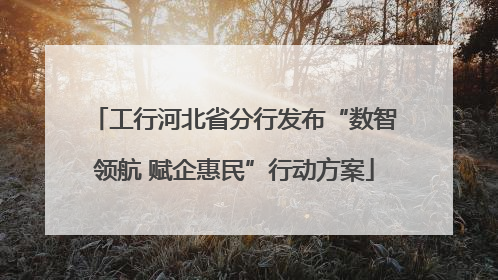 工行河北省分行发布“数智领航 赋企惠民”行动方案
