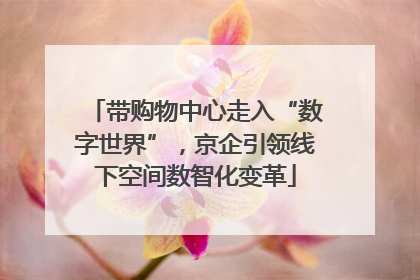 带购物中心走入“数字世界”，京企引领线下空间数智化变革