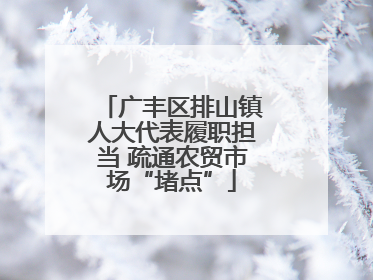 广丰区排山镇人大代表履职担当 疏通农贸市场“堵点”