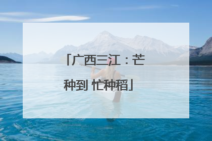 广西三江：芒种到 忙种稻