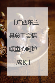 广西东兰县总工会情暖童心呵护成长