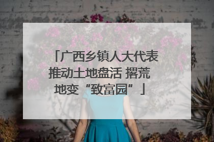 广西乡镇人大代表推动土地盘活 撂荒地变“致富园”