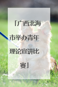 广西北海市举办青年理论宣讲比赛