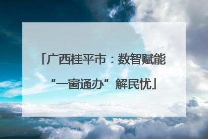 广西桂平市：数智赋能“一窗通办”解民忧