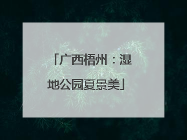 广西梧州：湿地公园夏景美
