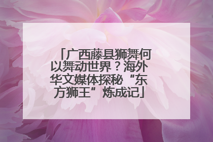 广西藤县狮舞何以舞动世界？海外华文媒体探秘“东方狮王”炼成记