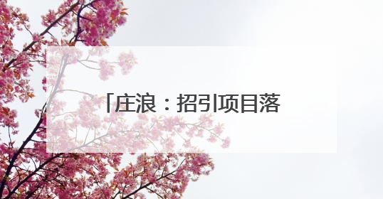 庄浪：招引项目落地 赋能产业振兴