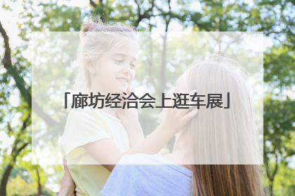 廊坊经洽会上逛车展