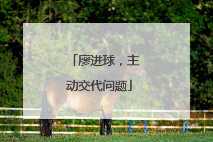 廖进球，主动交代问题