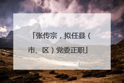 张传宗，拟任县（市、区）党委正职