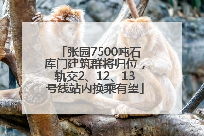 张园7500吨石库门建筑群将归位，轨交2、12、13号线站内换乘有望