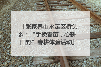 张家界市永定区桥头乡：“手挽春苗，心耕田野”春耕体验活动