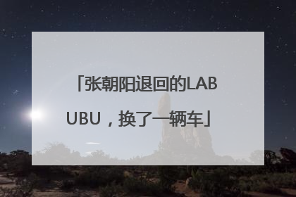 张朝阳退回的LABUBU，换了一辆车