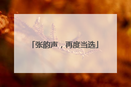 张韵声，再度当选