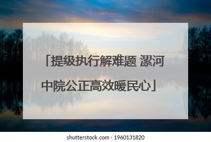 提级执行解难题 漯河中院公正高效暖民心