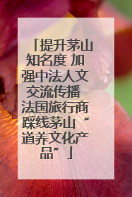 提升茅山知名度 加强中法人文交流传播 法国旅行商踩线茅山“道养文化产品”