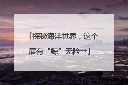 探秘海洋世界，这个展有“鲸”无险→
