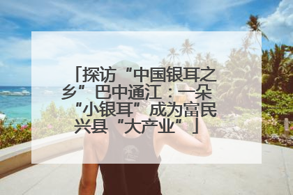 探访“中国银耳之乡”巴中通江：一朵“小银耳”成为富民兴县“大产业”