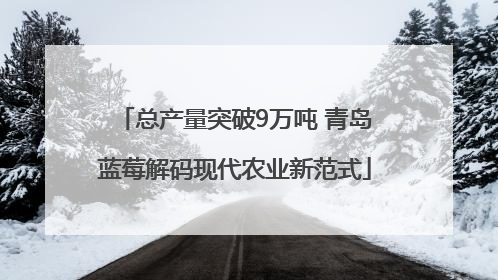 总产量突破9万吨 青岛蓝莓解码现代农业新范式