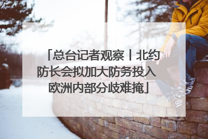 总台记者观察丨北约防长会拟加大防务投入 欧洲内部分歧难掩