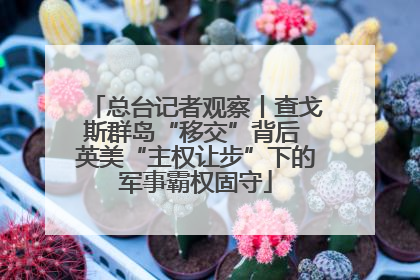 总台记者观察丨查戈斯群岛“移交”背后 英美“主权让步”下的军事霸权固守
