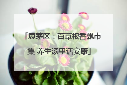 思茅区：百草根香飘市集 养生汤里话安康