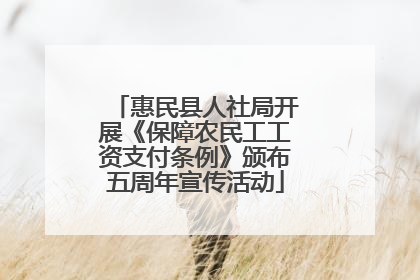 惠民县人社局开展《保障农民工工资支付条例》颁布五周年宣传活动