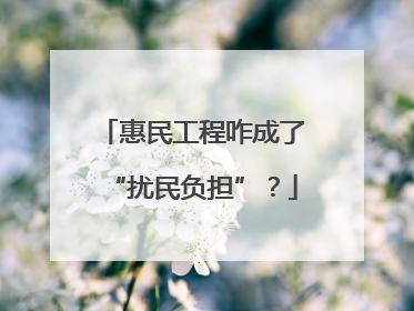 惠民工程咋成了“扰民负担”？