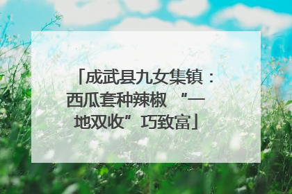 成武县九女集镇：西瓜套种辣椒 “一地双收”巧致富