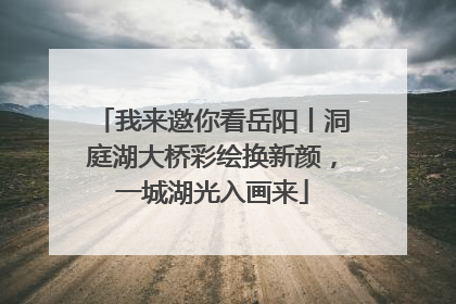 我来邀你看岳阳丨洞庭湖大桥彩绘换新颜，一城湖光入画来