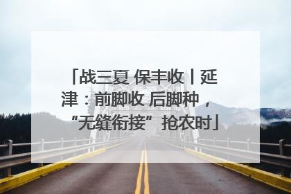 战三夏 保丰收丨延津：前脚收 后脚种，“无缝衔接”抢农时