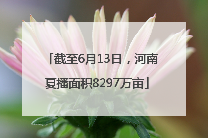 截至6月13日，河南夏播面积8297万亩
