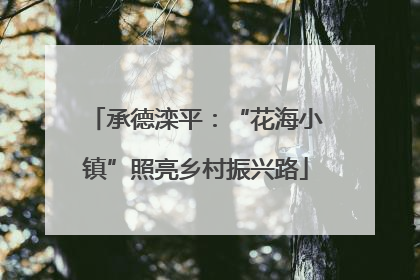 承德滦平：“花海小镇”照亮乡村振兴路