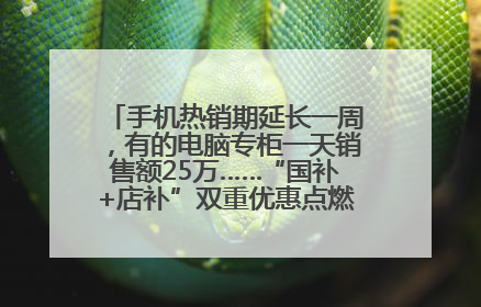 手机热销期延长一周，有的电脑专柜一天销售额25万……“国补+店补”双重优惠点燃德州“考后经济”