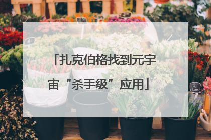 扎克伯格找到元宇宙“杀手级”应用