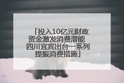 投入10亿元财政资金激发消费潜能 四川宜宾出台一系列提振消费措施