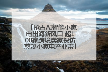 抢占AI智能小家电出海新风口 超100家跨境卖家探访慈溪小家电产业带
