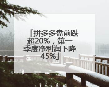 拼多多盘前跌超20%，第一季度净利润下降45%