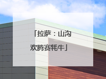 拉萨：山沟欢腾赛牦牛