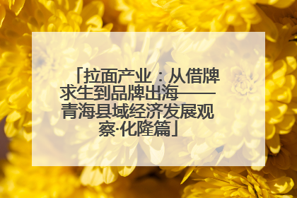拉面产业：从借牌求生到品牌出海——青海县域经济发展观察·化隆篇