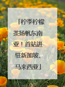 柠季柠檬茶扬帆东南亚！首站进驻新加坡、马来西亚