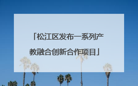 松江区发布一系列产教融合创新合作项目