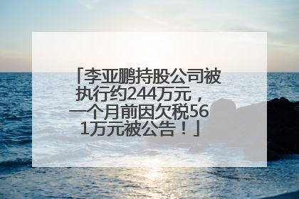 李亚鹏持股公司被执行约244万元，一个月前因欠税561万元被公告！