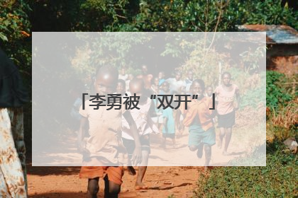 李勇被“双开”
