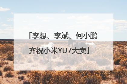 李想、李斌、何小鹏齐祝小米YU7大卖