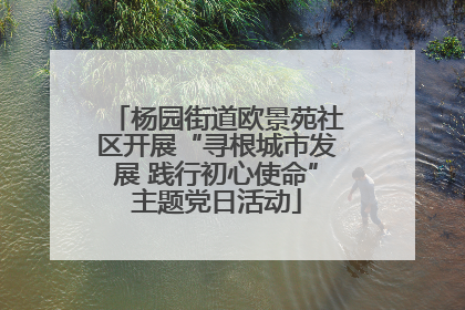 杨园街道欧景苑社区开展“寻根城市发展 践行初心使命”主题党日活动