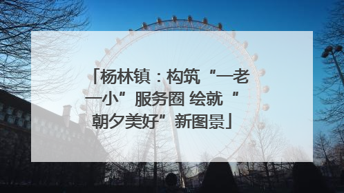 杨林镇：构筑“一老一小”服务圈 绘就“朝夕美好”新图景
