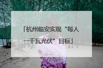 杭州临安实现“每人一千瓦光伏”目标