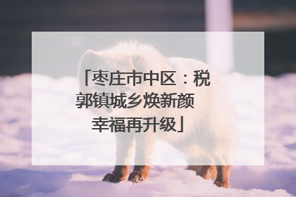 枣庄市中区：税郭镇城乡焕新颜 幸福再升级